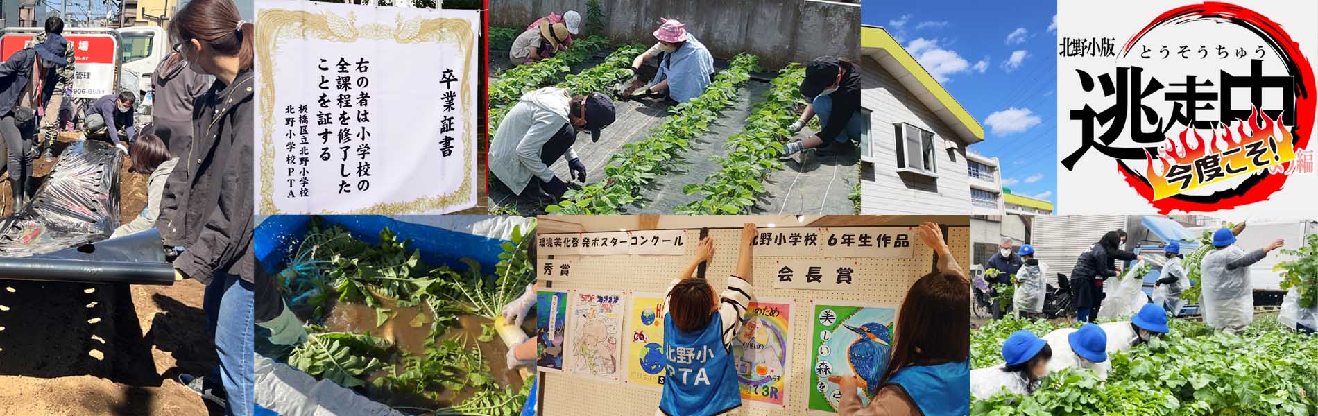 板橋区立北野小学校ＰＴＡ